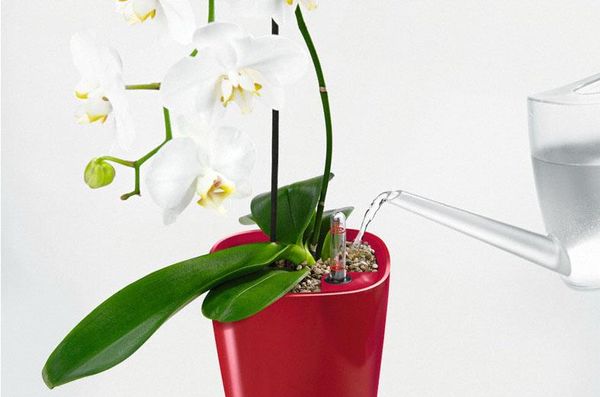 Приспособления для орхидей